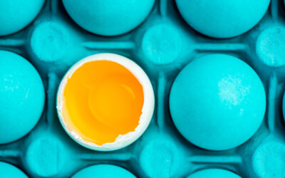 Onko kokonainen kananmuna vai valkuainen parempi sinulle?